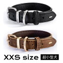 【EZYDOG】 レザーカラー 首輪 革 【XXSサイズ】 超小型犬