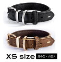 【EZYDOG】 レザーカラー 首輪 革 【XSサイズ】 超小型犬 小型犬