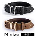 【EZYDOG】 レザーカラー 首輪 革 【Mサイズ】 中型犬