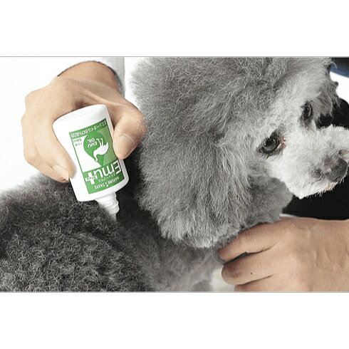 ネイチャーズテイスト エミュープラス 40ml 犬猫用 皮膚・被毛・筋肉・関節ケアオイル