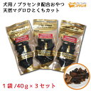 ペットおやつ 天然マグロ ひとくちカット 犬用 40g×3個セット 三崎港産 無添加 SPF無菌豚プラセンタ配合 プラセンタ サプリメント 自然食おやつ ペットおやつ