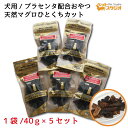 ペットおやつ 天然マグロ ひとくちカット 犬用 40g×5個セット 三崎港産 無添加 SPF無菌豚プラセンタ配合 プラセンタ サプリメント 自然食おやつ ペットおやつ