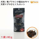 ペットおやつ 天然マグロ(三崎港産) ひとくちカット 犬用 40g 馬プラセンタ配合 サプリメント 自然食おやつ 無添加