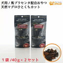 無添加 ペットおやつ 天然マグロ(三崎港産) ひとくちカット 犬用 40g×2個セット 馬プラセンタ配合 サプリメント 自然食おやつ