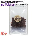 犬用おやつ soft bits ソフトビッツ ブルーベリー 50g 乳酸菌 ビッツ果物 ブルーベリービッツ果物 口内環境改善・免疫力強化補助 腸内環境改善