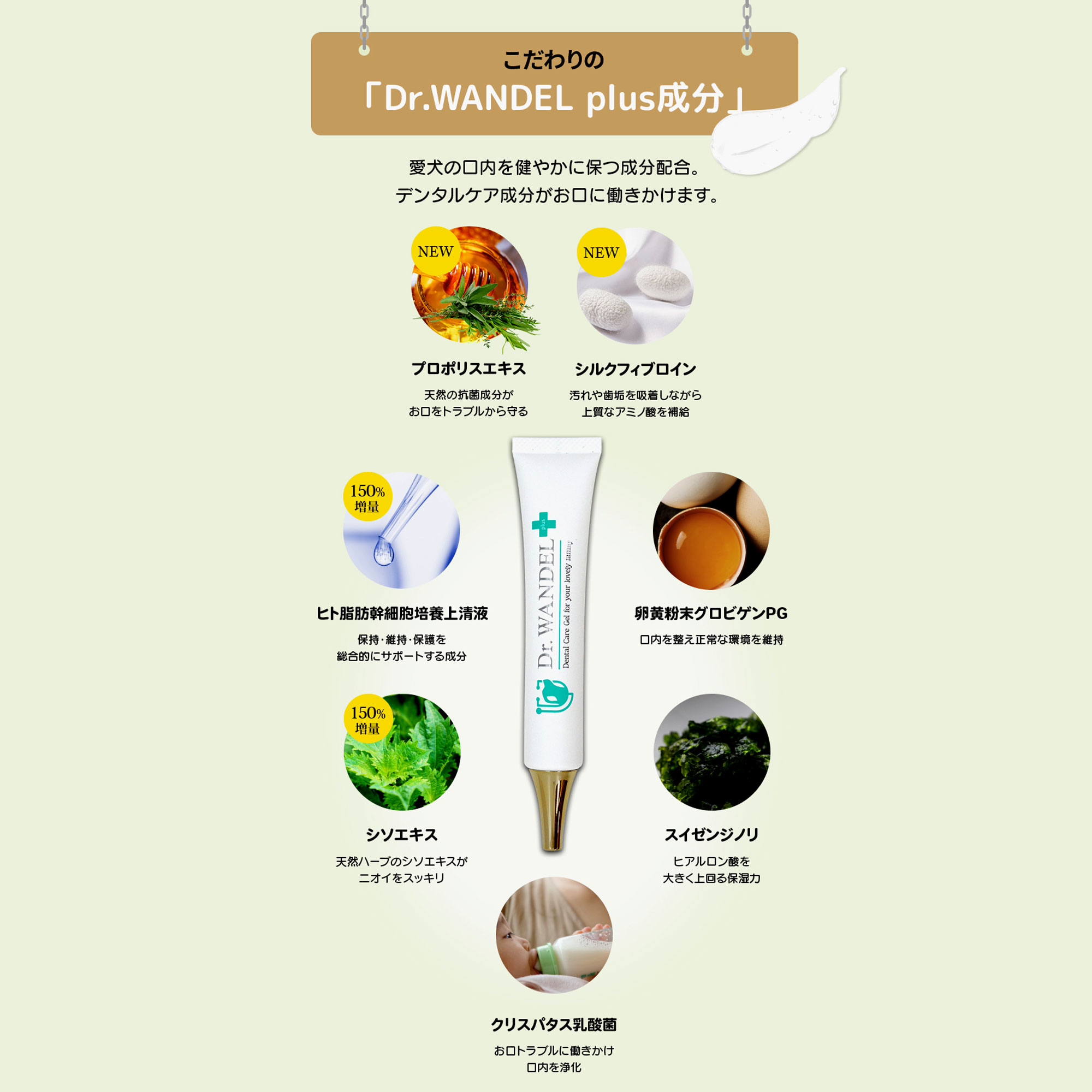 Dr.wandel �ɥ��������ǥ� ���ߤ���ʴ �ɥ��������ǥ� S 15g�ʥ����Ѹ��Х������