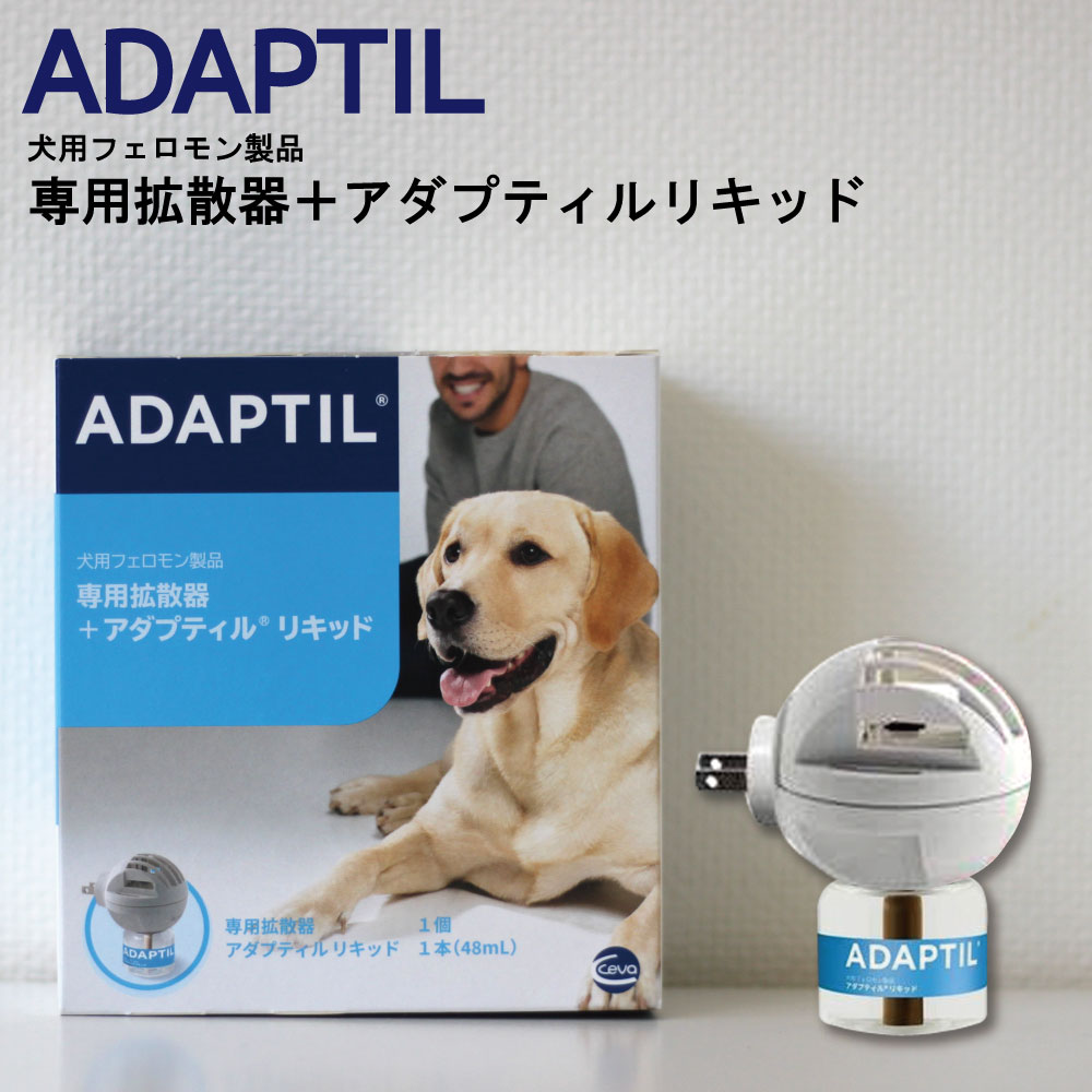 このちゃんもお手上げ！しつこい膀胱炎 | 愛犬☆愛鳥日記