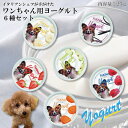 犬用おやつ フィドベットヨーグルト25g* 6種セット 人口保存料 香料 着色料不使用 イタリア産 暑さ対策