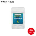 【共立製薬】犬猫用サプリ マイトマックススーパー 小型犬・猫用60カプセル