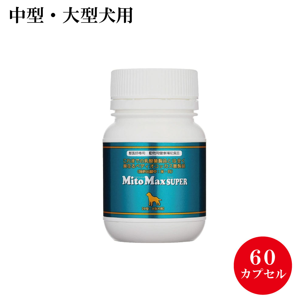 楽天ペットスタジオ【共立製薬】犬用サプリ マイトマックススーパー 中型犬・大型犬用60カプセル