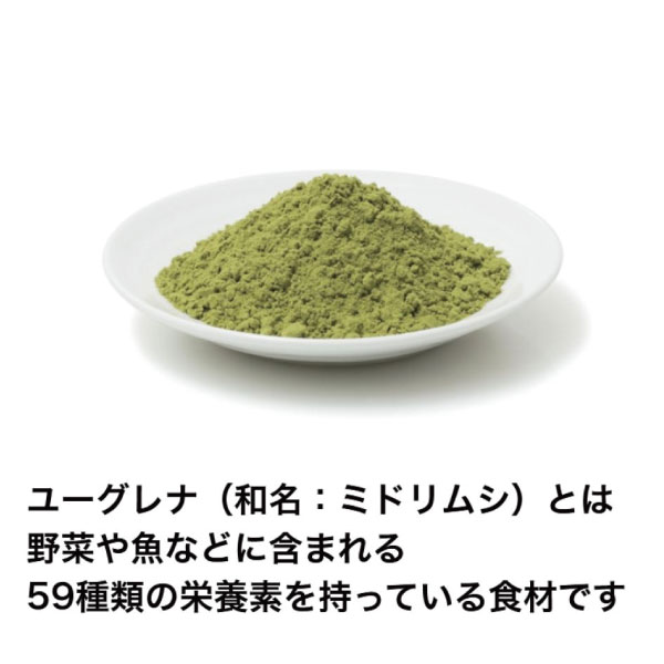 【eugreen】馬肉とトマトの煮込みバンバーグ ドッグフード 無添加 ごちそう ごほうび プレミアムフード 犬用 大型犬 中型犬 小型犬 超小型犬 シニア 子犬 ペットフード pet-studio-10016136 ペットスタジオ サンプル画像2