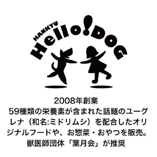 【eugreen】馬肉とトマトの煮込みバンバーグ ドッグフード 無添加 ごちそう ごほうび プレミアムフード 犬用 大型犬 中型犬 小型犬 超小型犬 シニア 子犬 ペットフード pet-studio-10016136 ペットスタジオ サンプル画像3