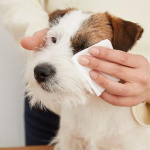 A.P.D.C.���ꥢ �������꡼�󥦥�������2�ܥ��å� 4528636805012