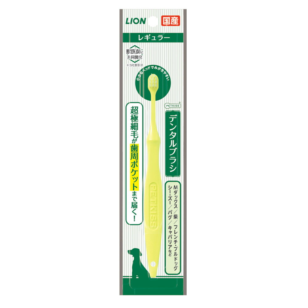 �ڥåȥ��å� �ǥ󥿥�֥饷 �쥮��顼(1��)�ڥڥåȥ��å��� 4903351005723