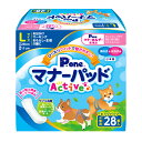 マナーパッド Active ビッグパックL 28枚*24個(1ケース) 4904601764698 第一衛材