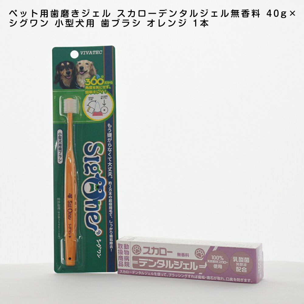 ペット用歯磨きジェル スカローデンタルジェル無香料 40g×シグワン 小型犬用 歯ブラシ オレンジ 1本 歯垢 歯石除去