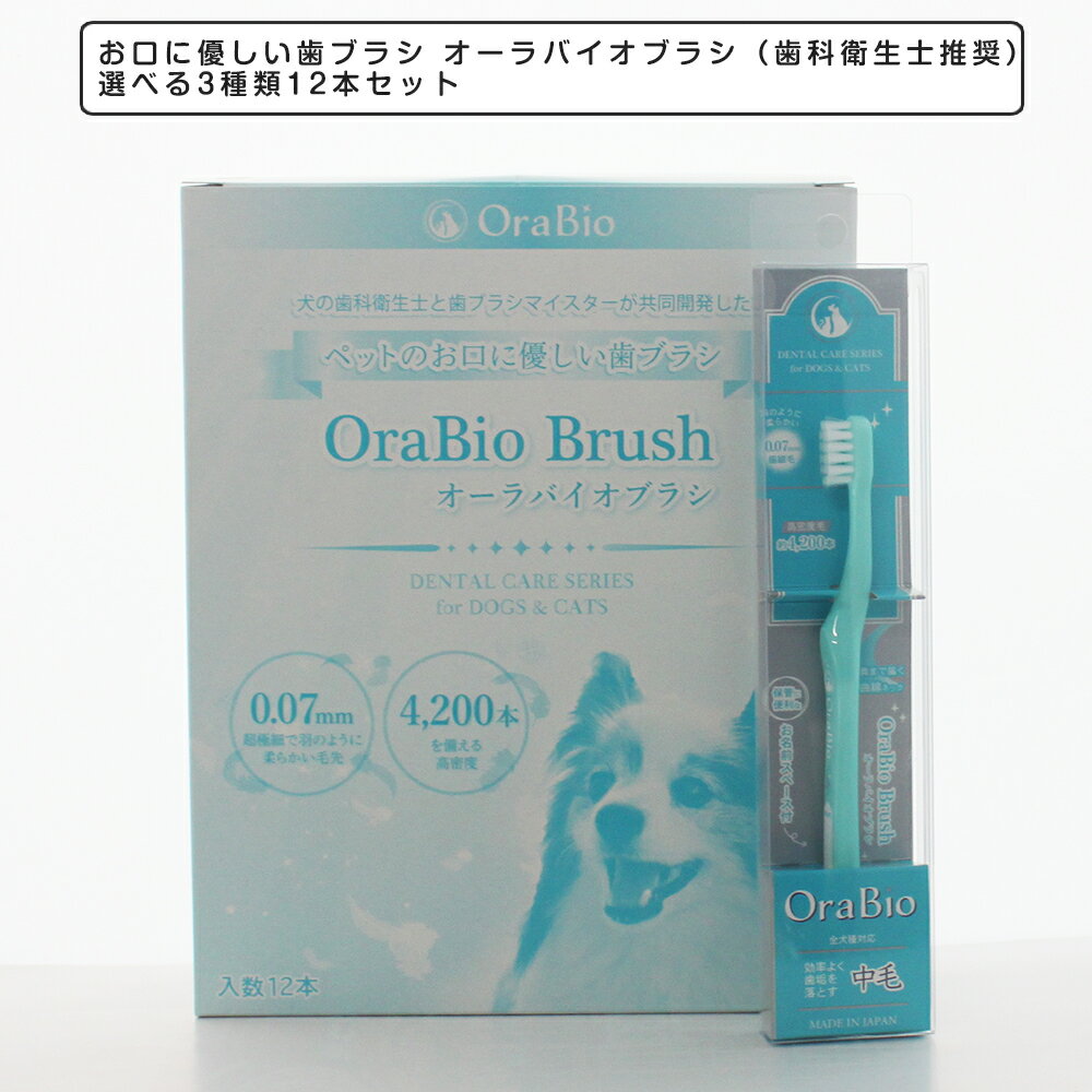 【 まとめ買い】お口に優しい歯ブラシ オーラバイオブラシ（歯科衛生士推奨）選べる3種類12本セット 歯垢 歯石除去 デンタルケア