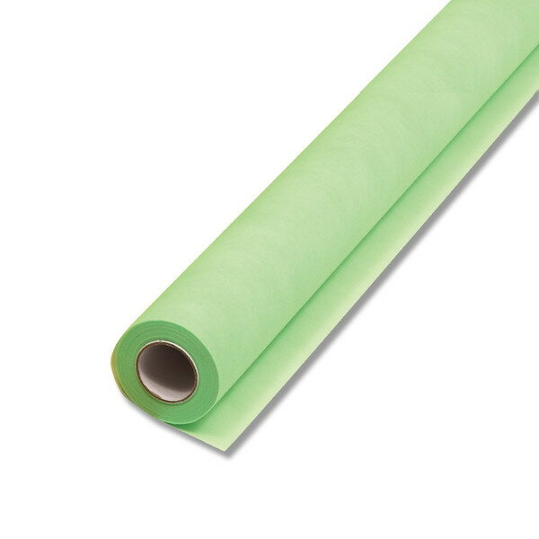 HEIKO フラワーラップ ライムグリーン #77 不織布ロール ラッピングペーパー 65cmx20m 包装紙【花資材 花材 ラッピング リボン ラッピング用品...