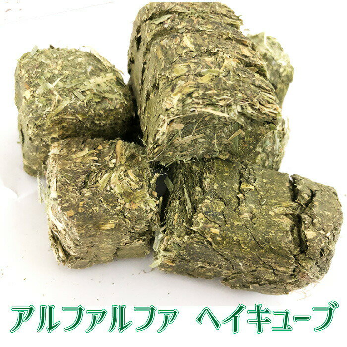 アメリカ産 アルファルファ ヘイキューブ 約30kg(1個あたり：約30g〜40g程度) 圧縮 牧草 Alfalfa 小動物 エサ キューブ状 ブリーダー【HTF】