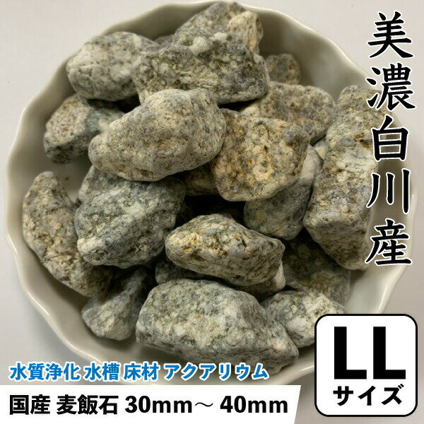 国産 麦飯石 (美濃白川産) 1kg 【LLサイズ：約30mm〜40mm】 ばくはんせき 浄化 水槽 フィルター濾過材 観賞魚 飼育魚 送料無料【DBP】