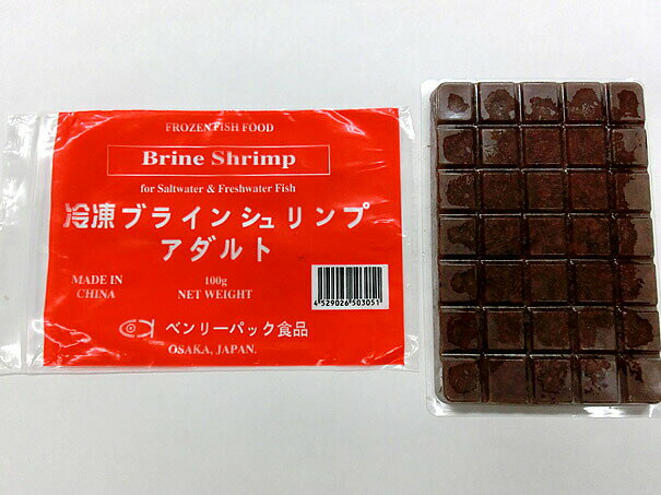 観賞魚用飼料 冷凍ブラインシュリンプ アダルト 100g＜クール便配送＞エビ 海水魚 キューブタイプ ベンリーパック 4529026503051【ベン..