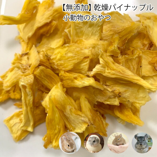 うさぎ 小動物のおやつ　無添加 乾燥パイナップル 30g　国内製造 パイン 砂糖不使用　小動物 無着色　ドライフルーツ うさぎ 草食 メール便送料無料【DBP】