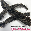 犬 おやつ 無添加 手作りおやつ　牛ミノジャーキー　600g　牛ミノ　牛ホルモン　ペット ドッグフード　送料無料【DBP】