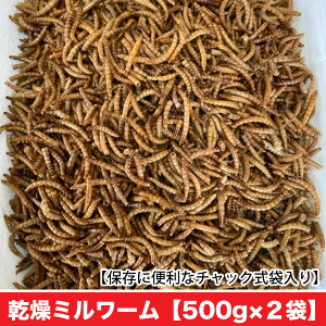 乾燥ミルワーム 【500g×2袋】 ミルワーム 嗜好性の高い高たんぱくフード ハムスター フクロモモンガ ハリネズミ リス 爬虫類 アロワナ等 野鳥 送料無料【DBP】