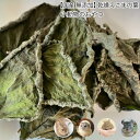 小動物のおやつ 国産 無添加 乾燥 えごまの葉 5g 荏胡麻 えごま 葉 無着色 うさぎ ハムスター デグー チンチラ クリックポスト送料無料【DBP】