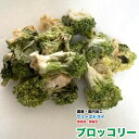 小動物 犬 おやつ　無添加 フリーズドライ　ブロッコリー【30g】【国産・国内加工】　野菜　フリーズドライ　小動物おやつ　ブロッコリー【DBP】