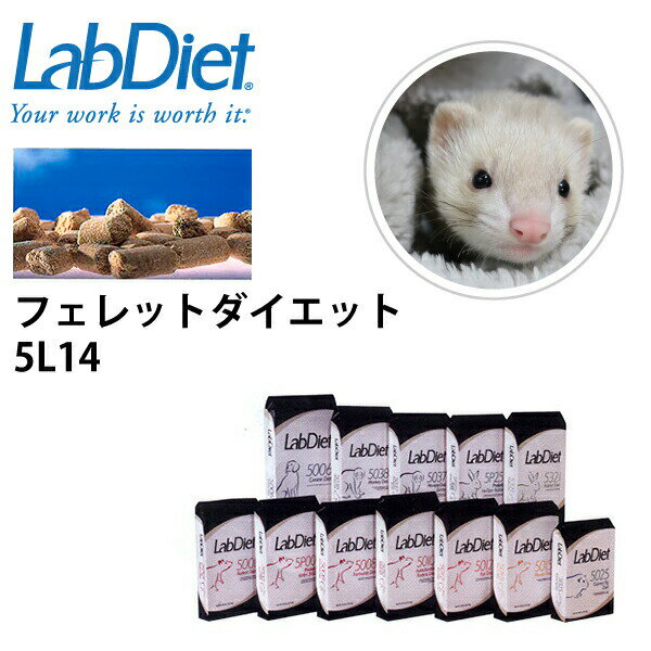 LabDiet ラボダイエット フェレットダイエット フード 500g フェレット ペレット 小動物 エサ