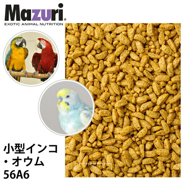 Mazuri Small Bird Maintenance Dietは、小規模なpsittacinesとpasserinesのための完全な鳥の食べ物です。この栄養学的に完全な小鳥の餌は、マルチサイズの粒子で処方され、非繁殖鳥類の主要飼料とし...