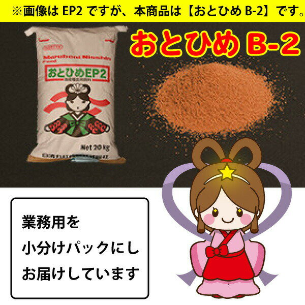 メール便送料無料 おとひめ B2 0.36-0.65mm以下 100g 沈降性 B-2 メダカのごはん 乙姫 稚魚の餌 グッピーのエサ【THB】