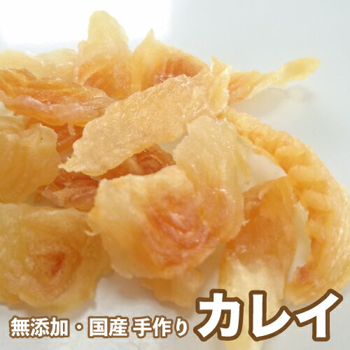 ＜送料無料＞犬 おやつ 【無添加】手作りおやつ 国産 カレイ 500g 魚 かれい ペット ドッグフード ＜メール便配送＞【DBP】 1