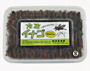 富城物産 冷凍 イナゴ Lサイズ:約4.5cm 200g×5パック いなご<冷凍クール便配送> 両生類 大型中型魚 小動物用【TOMI】
