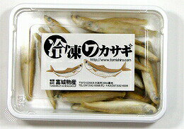 富城物産 冷凍 ワカサギ 1パック(100g) 約8cm前後 わかさぎ ＜冷凍クール便配送＞ エサ ワカサギ 大型魚用【TOMI】