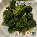小動物のおやつ 国産 無添加 乾燥 ブロッコリー 60g 乾燥野菜 ブロッコリ ドライベジタブル 天然素材 小動物 うさぎ ハムスター デグー チンチラ【DBP】