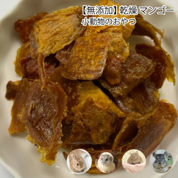 小動物のおやつ 無添加 乾燥 マンゴー 60g 乾燥野菜 フルーツ 砂糖不使用 天然素材 小動物 うさぎ ハムスター デグー チンチラ【DBP】
