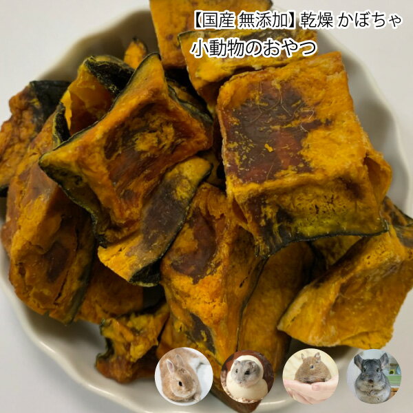 小動物のおやつ　国産　無添加　乾燥 かぼちゃ　150g　乾燥野菜　カボチャ　ドライベジタブル 天然素材 小動物 うさぎ ハムスター デグー チンチラ【DBP】
