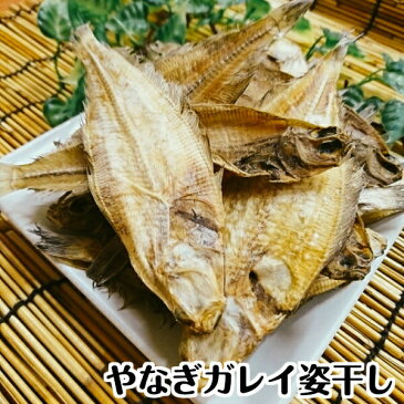 【国産無添加】銚子産　やなぎガレイ姿干し250g