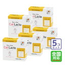 お届け先全国対応/5個セット「Duo One Cat Lacto デュオワン キャット ラクト 猫用」直【1793】