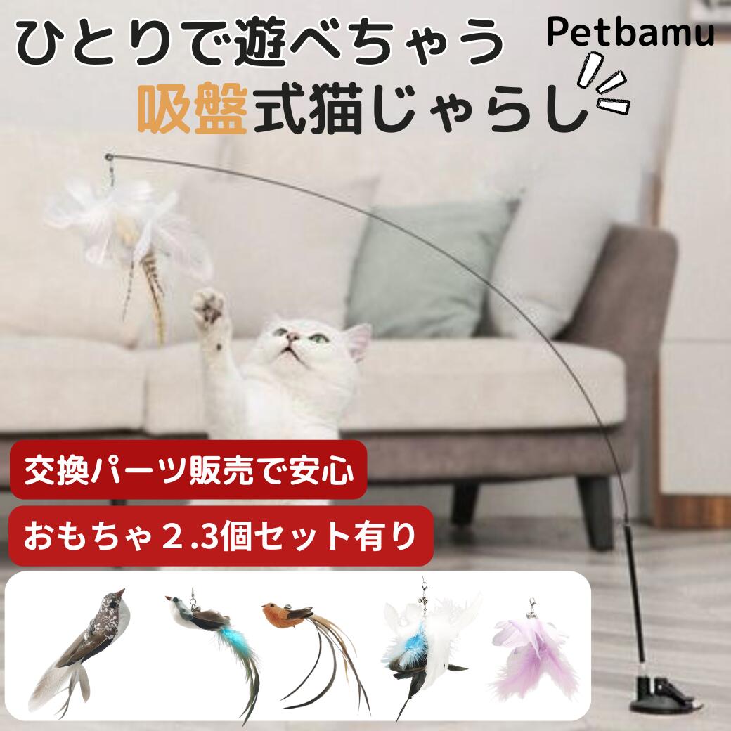 猫じゃらし 吸盤 鳥 フェザー 【LINE登録で10%オフ】 ねこじゃらし 羽 羽根 吸盤式 猫 じゃらし おもちゃ 猫のおもちゃ 一人遊び 猫一人遊びおもちゃ 猫遊び道具 猫用おもちゃ 子猫 ネコ ねこ 鈴 鳥の羽 ねこのおもちゃ 固定 ネズミ キラキラのサムネイル