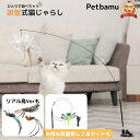 猫じゃらし 吸盤 鳥 フェザー 【LINE登録で10%オフ】 ねこじゃらし 羽 羽根 吸盤式 猫 じゃらし おもちゃ 猫のおもちゃ 一人遊び 猫一人遊びおもちゃ 猫遊び道具 猫用おもちゃ 子猫 ネコ ねこ 鈴 鳥の羽 ねこのおもちゃ 固定 ネズミ キラキラ 固定式