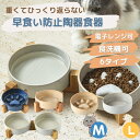 早食い防止フードボウル