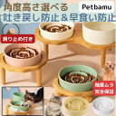 犬 早食い防止 猫 食器 皿 【滑り止め付きで安心】 フードボウル スタンド ハイ スローフィーダー 木製 大型犬 中型犬 小型犬 ペット 陶器 台 食器台 犬水飲み 餌皿 餌入れ 器 おしゃれ ダイエット グッズ 犬用食器 猫用食器 猫の食器 犬の食器 犬の餌入れ 多頭飼い 陶器製