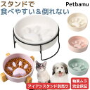 犬 早食い防止 猫 食器 陶器 【清潔な色合いが美しい】皿 フードボウル スローフィーダー 早食い防止フードボウル 餌皿 スタンド 猫早食い防止食器 器 餌入れ 小型犬 木製 ペット 陶器製 犬早食い防止食器 陶器製早食い防止皿 おしゃれ グッズ 大型犬 中型犬 ダイエット