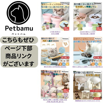 猫 犬 フードボウル 餌皿 水 【釉薬ムラ完全保証】 食器 水飲み 水入れ 皿 ペットボウル ペット 小型犬 お皿 犬用食器 餌入れ ご飯皿 水飲み器 セラミック 吐き戻し防止 陶器 斜め おしゃれ かわいい 傾斜 犬水飲み 犬水入れ 脚付 お皿 餌 入れ 猫用 猫餌皿 器 犬用 ハイ - Image 2