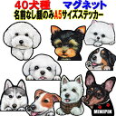 A5 犬 ステッカー マグネット ステッカー 犬 ステッカー グッズ 雑貨 ボストンテリア キャバリア マルチーズ パピヨン ジャックラッセルテリア ポメラニア...