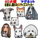 A5 犬 ステッカー マグネット 多頭 犬ステッカー 犬 ステッカー グッズ 雑貨 ゴールデンレトリバー ビションフリーゼ 狆 ダルメシアン 秋田犬 イタグレ ...