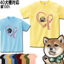 犬 tシャツ レディース おもしろ 犬柄 半袖 グッズ ビーグル シェルティ ペキニーズ 雑貨 ヨーキー ジャックラッセルテリア ボーダーコリー ビションフリー...
